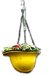 Firefighters Helmet as Flowerpot: Graphic