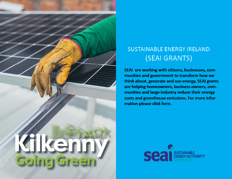 SEAI-grants